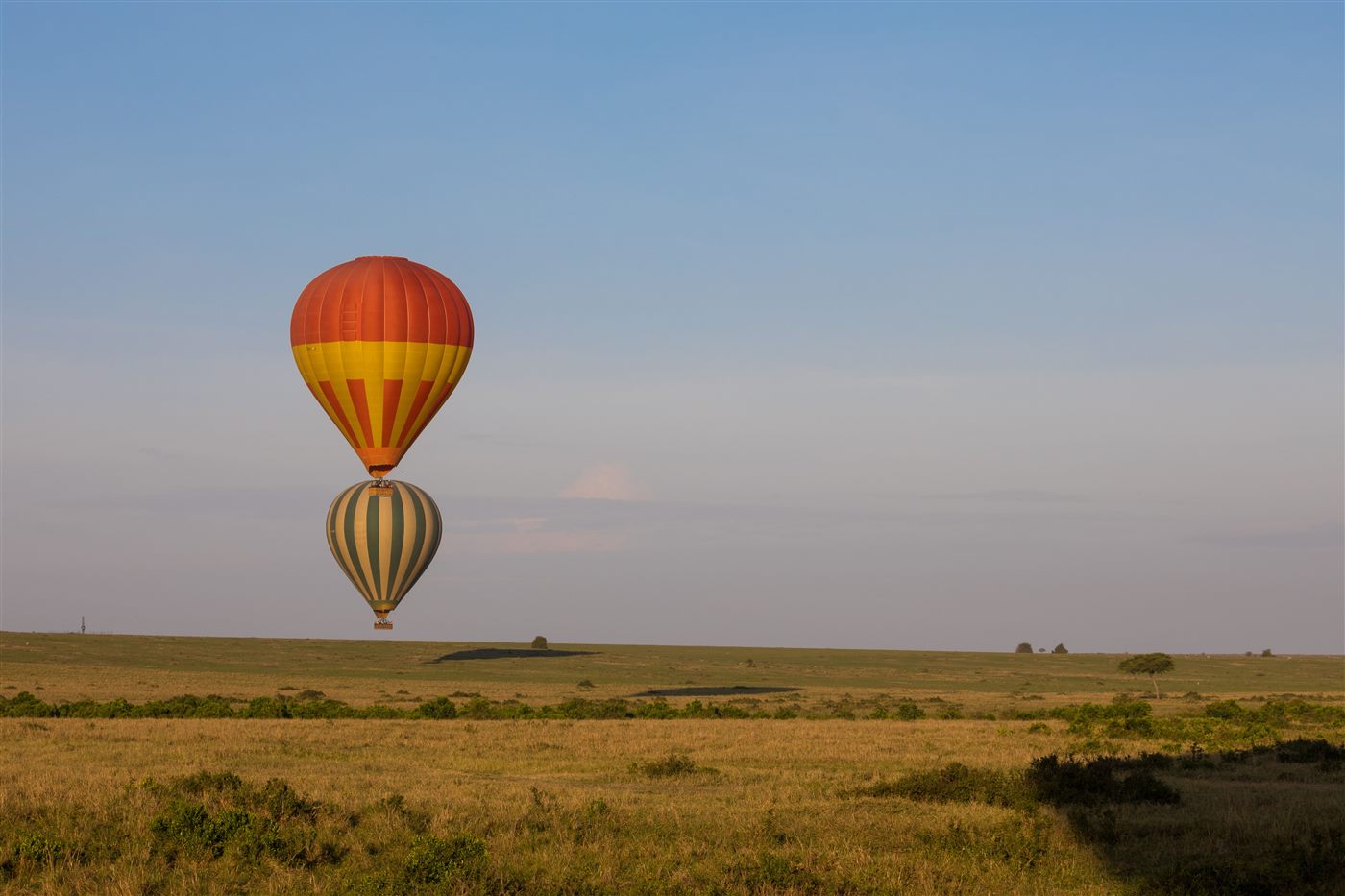 Hot air balloon safari over the Maasai Mara at sunrise