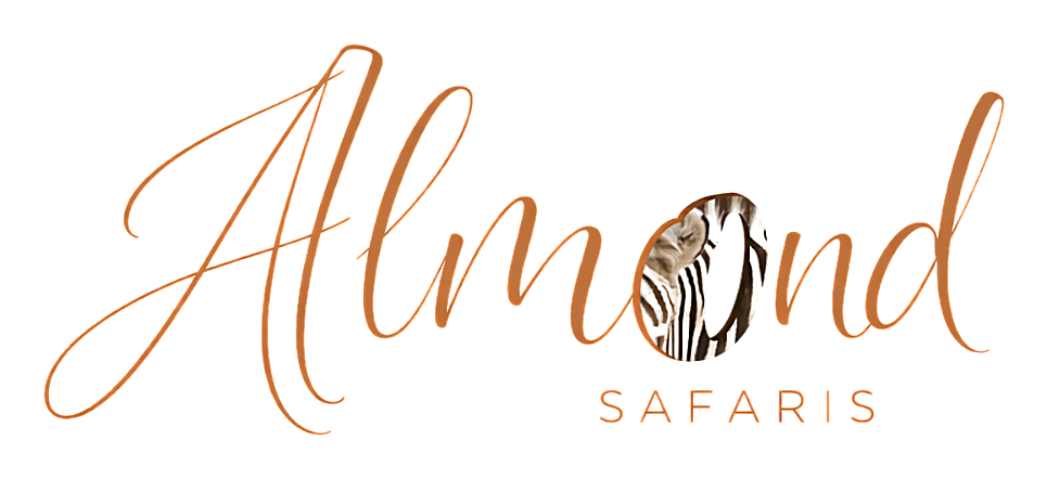 Almond Safaris